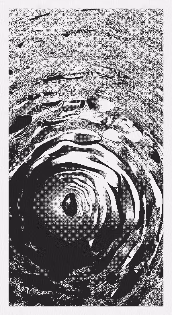 the rifle’s spiral #17