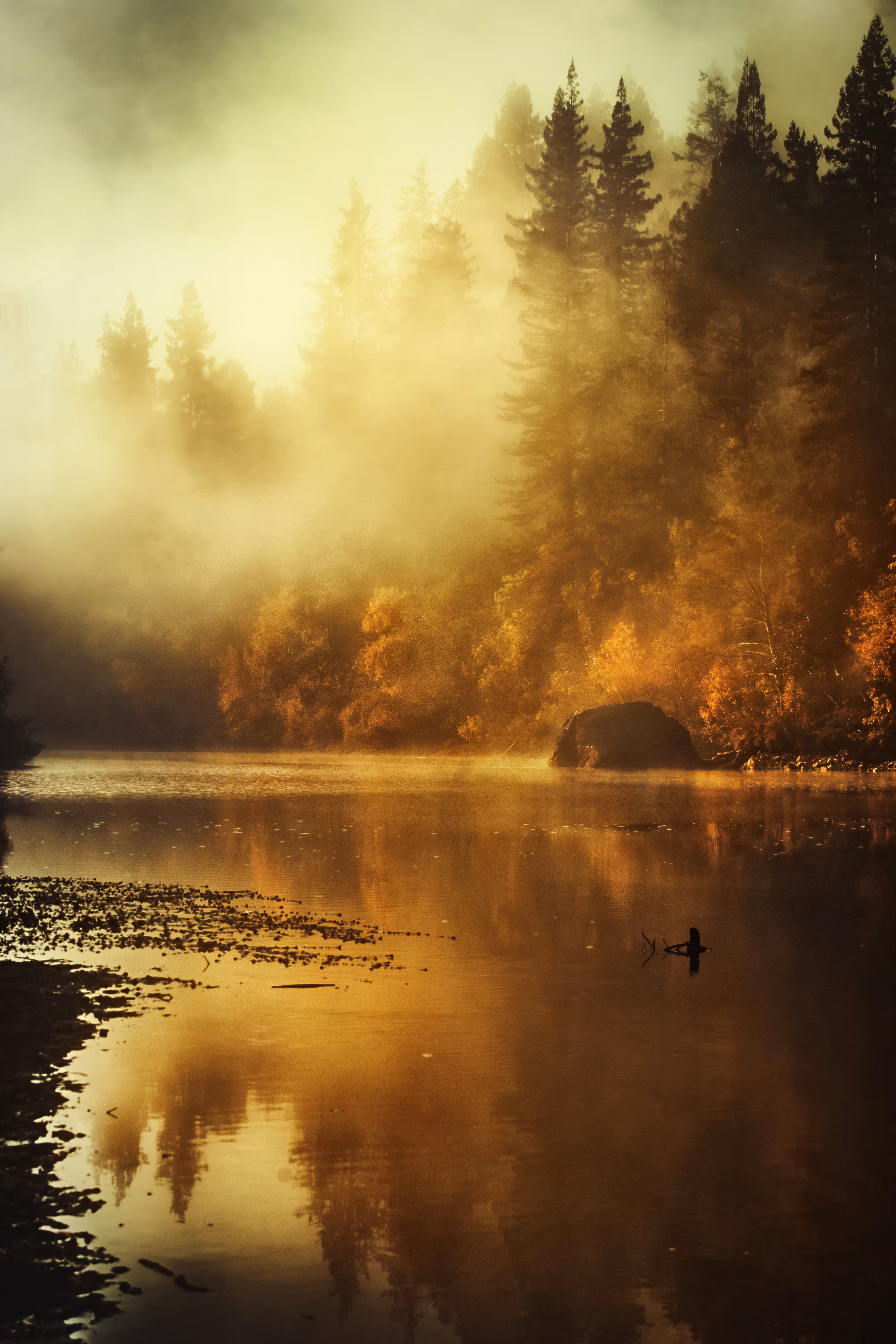 In The Morning Light