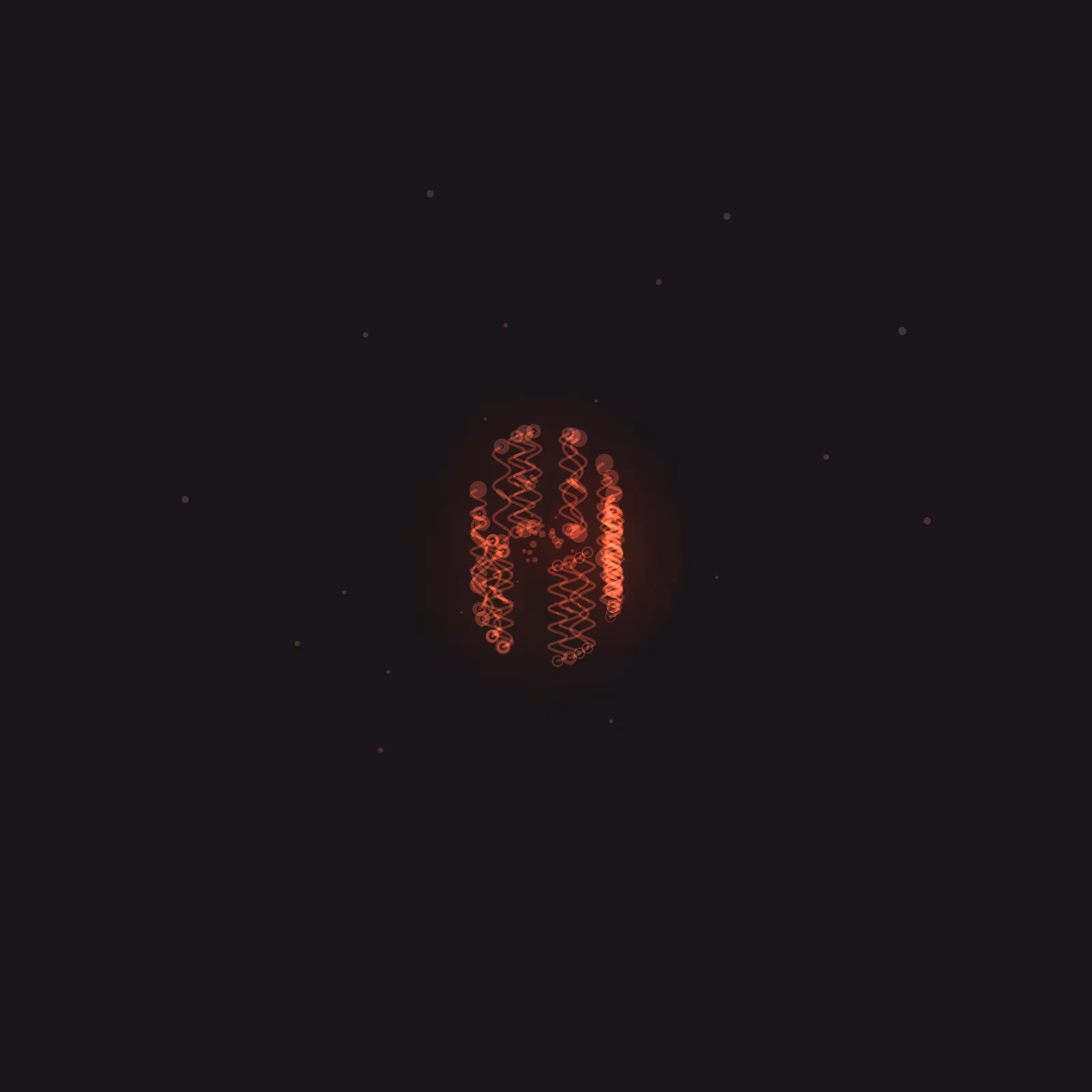 Brain