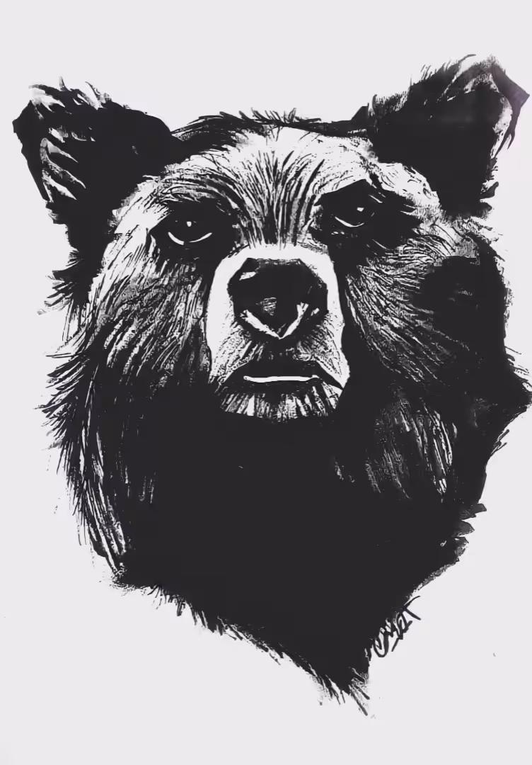 Black bear