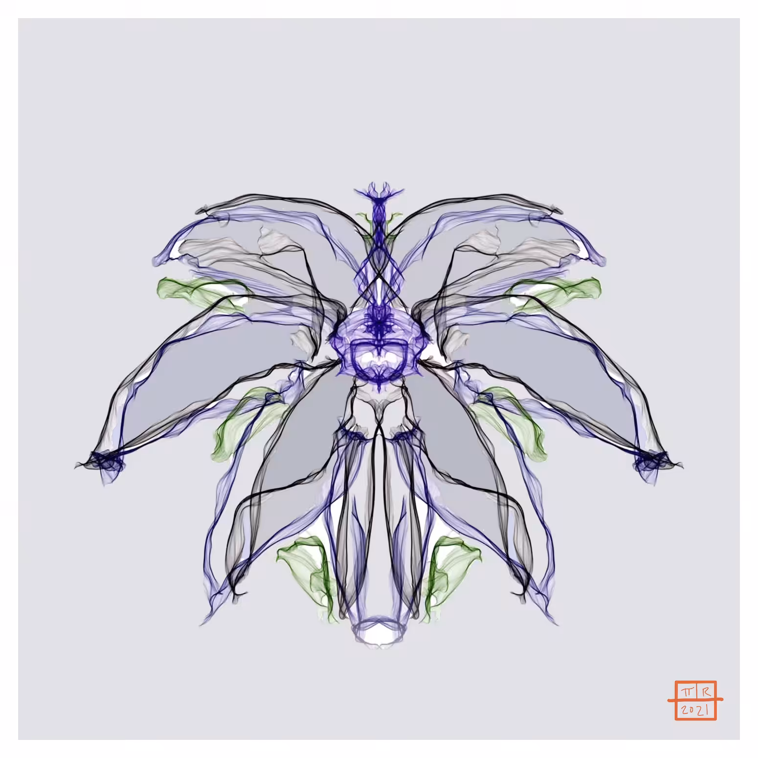 Purple Lily