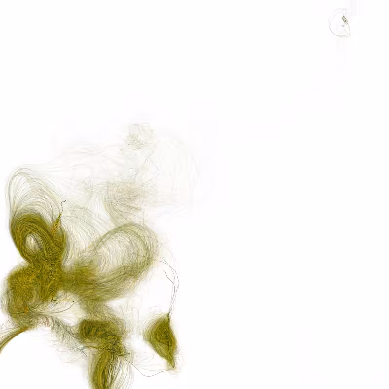Hypericum #168