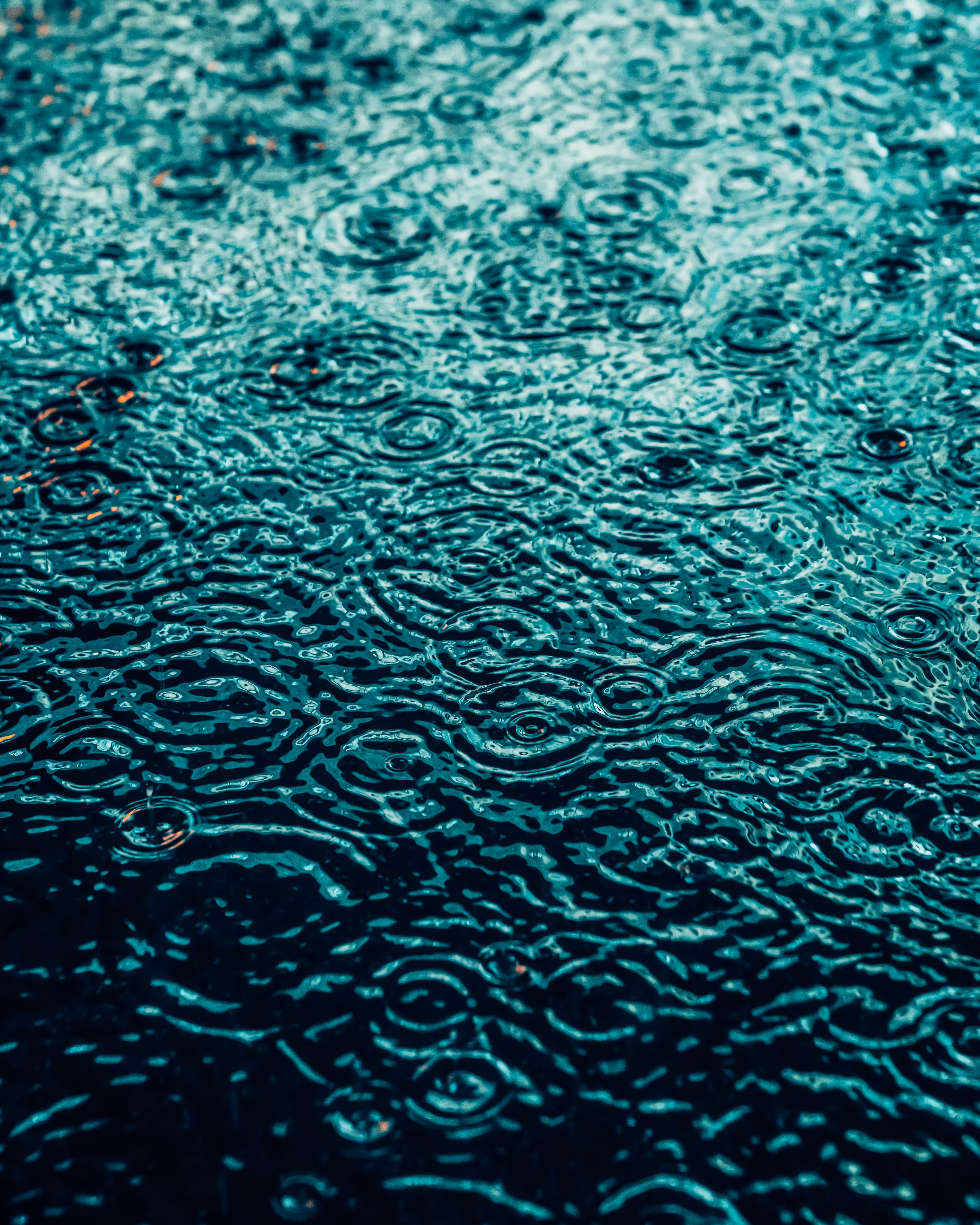 DRIP #642