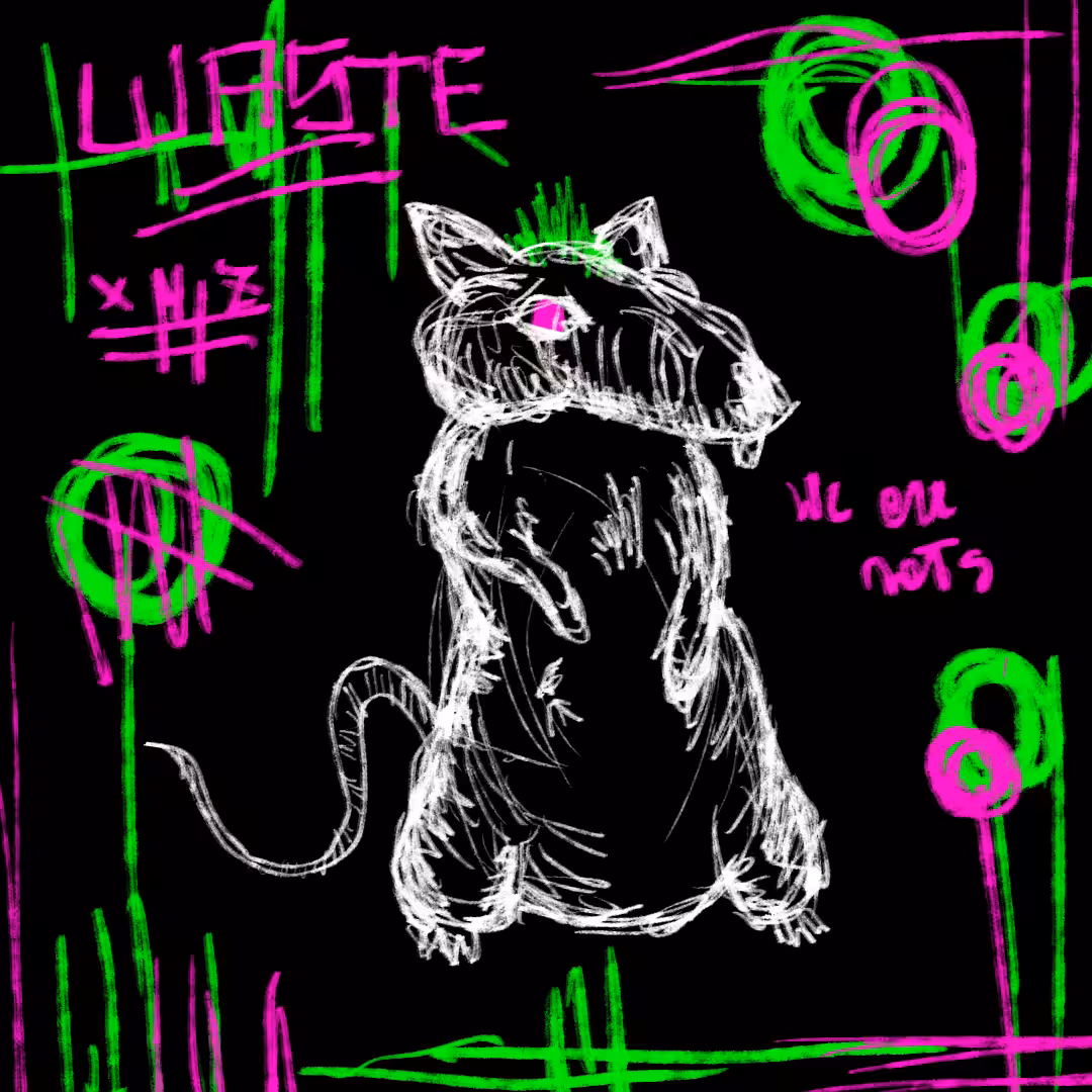 A rat