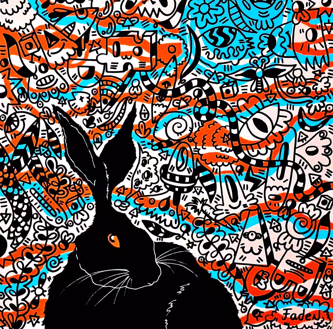 Black rabbit