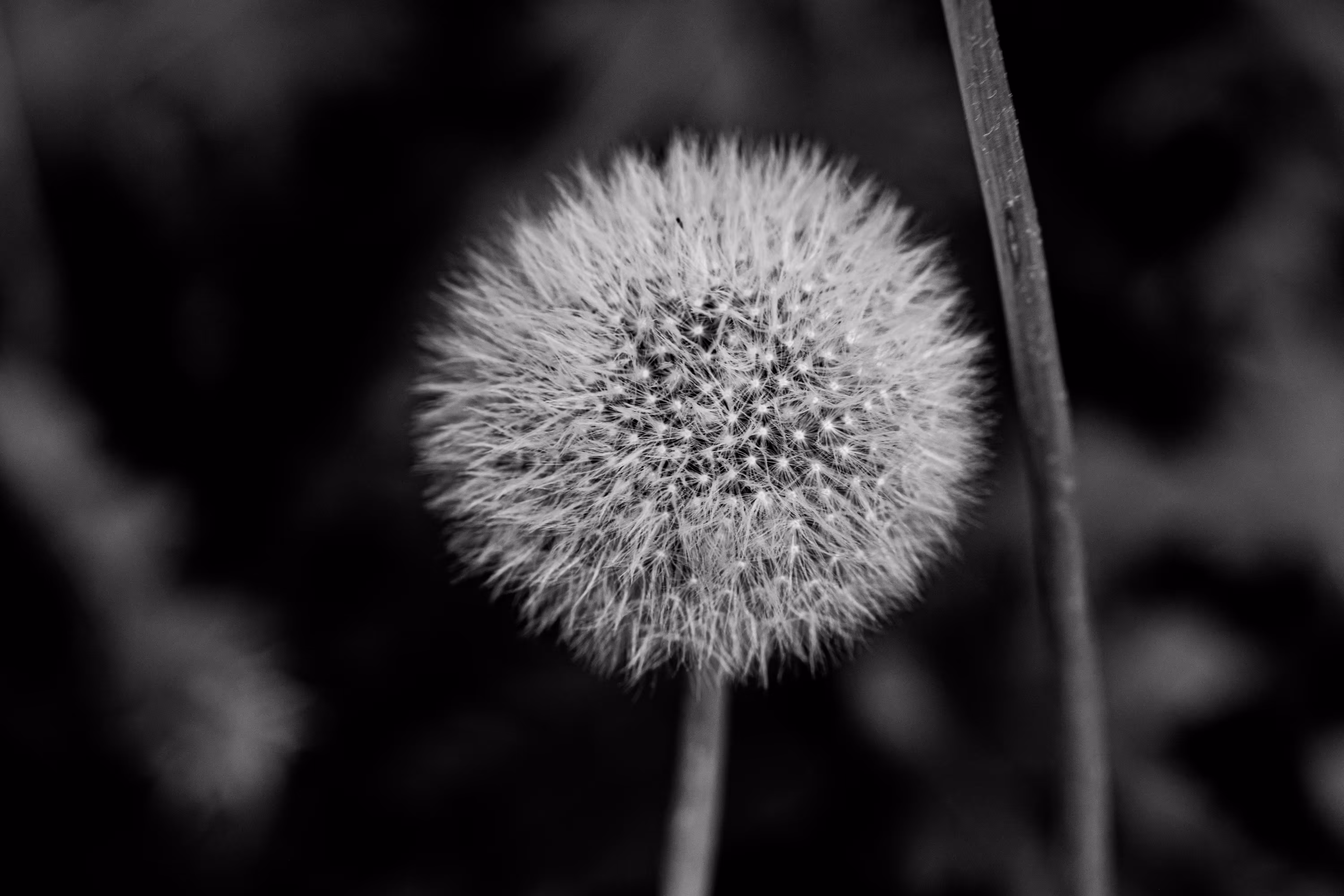 On the wind
