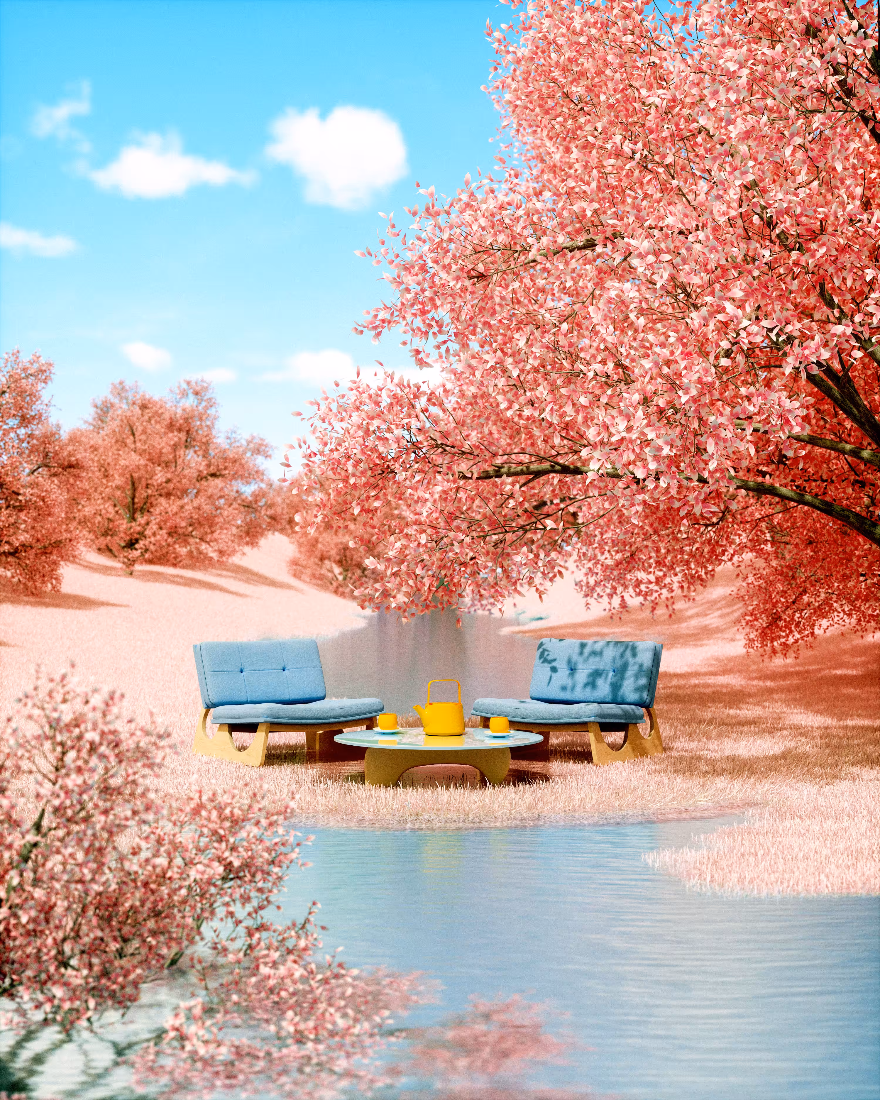 Sakura Season Blooming 🌸