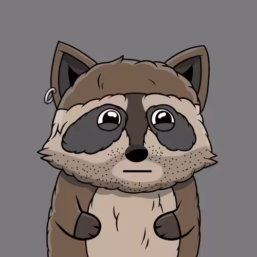 Charming Raccoons: Raccoon #22