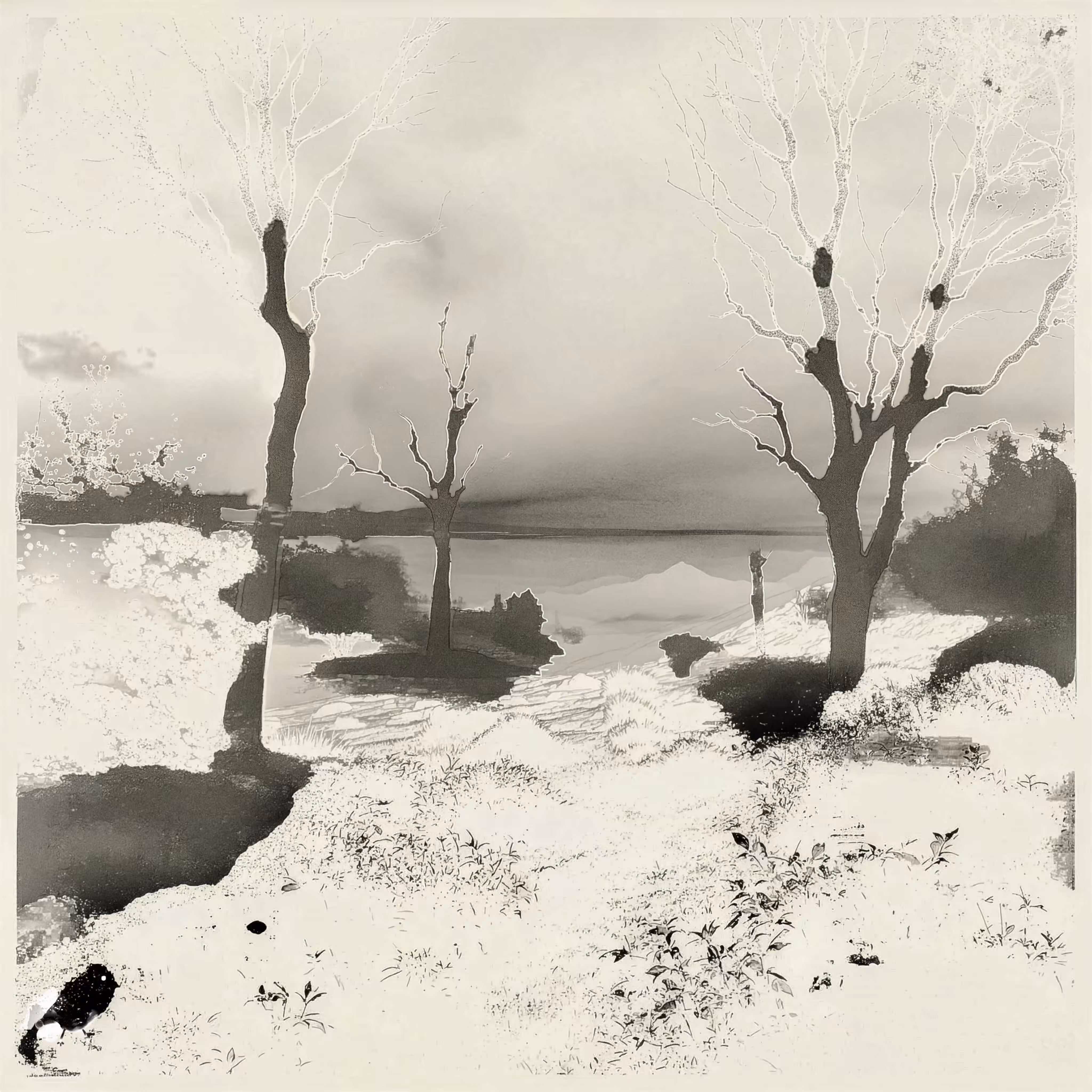 L’oiseau noir, air clair