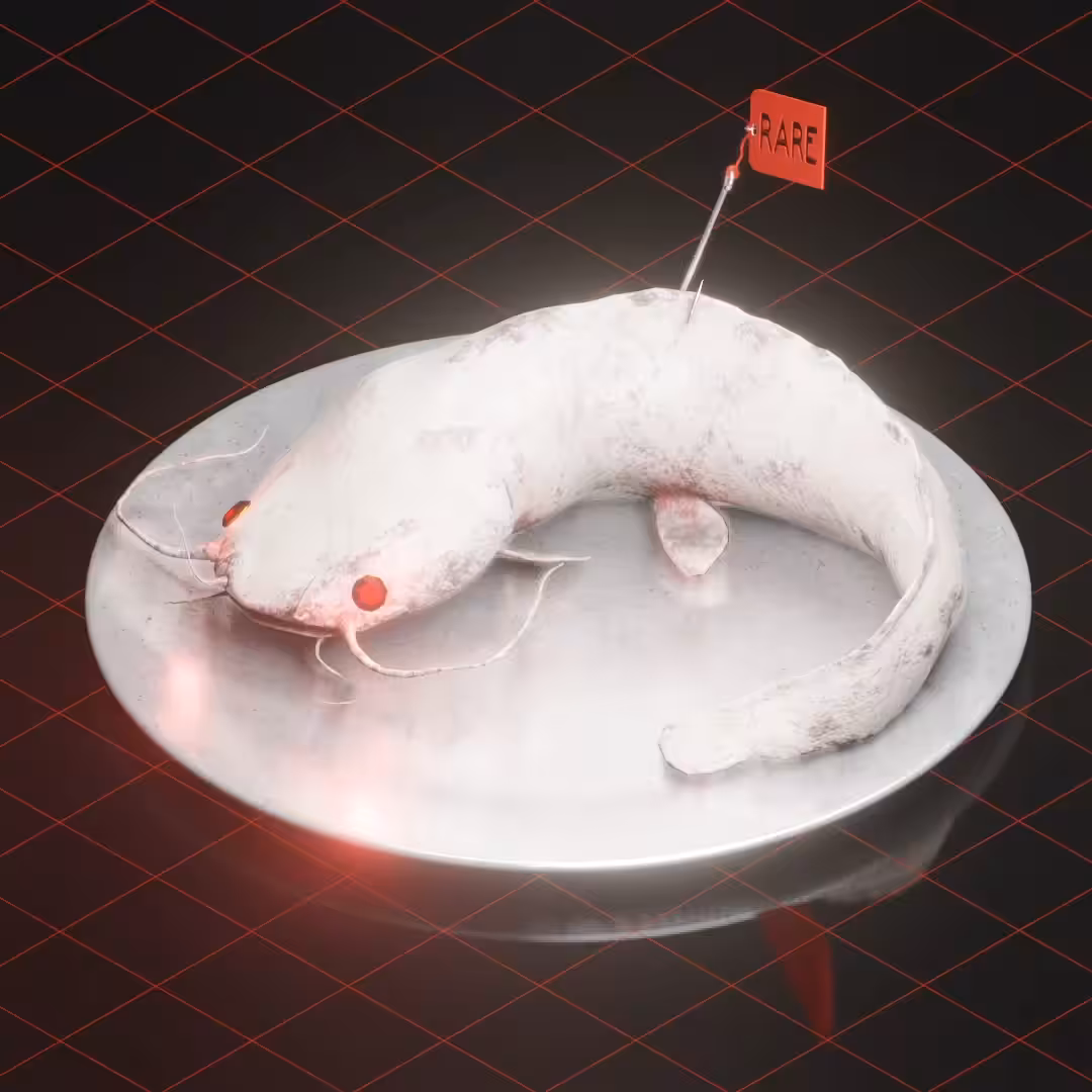 The albino claria, from the series, ''I am the claria''