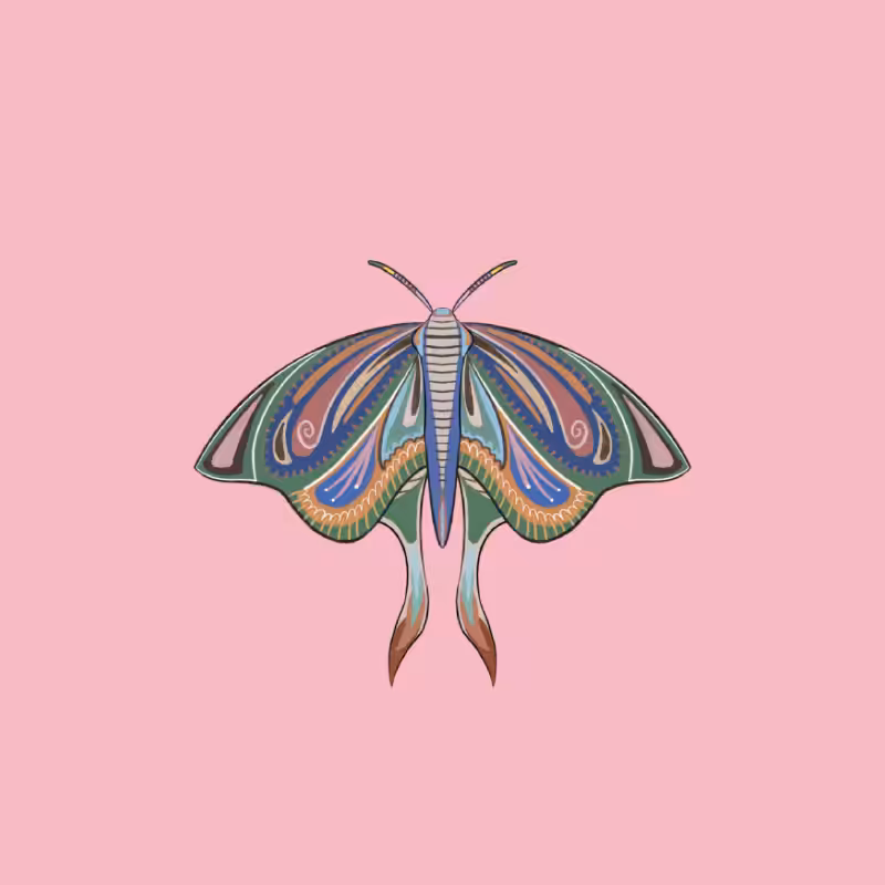 The Moth Experiment 2.0 P1 #9