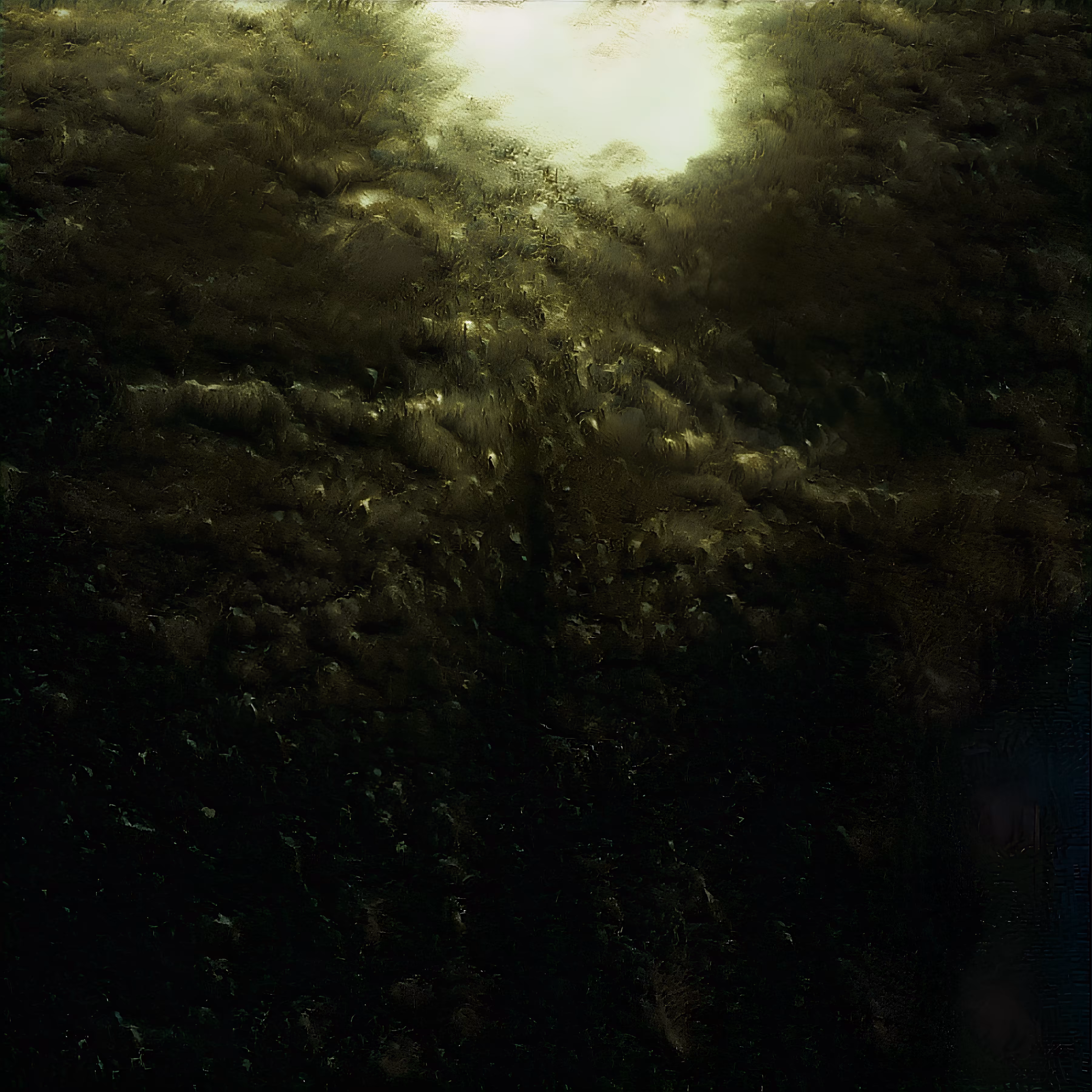 ShadowlighT (2022)
