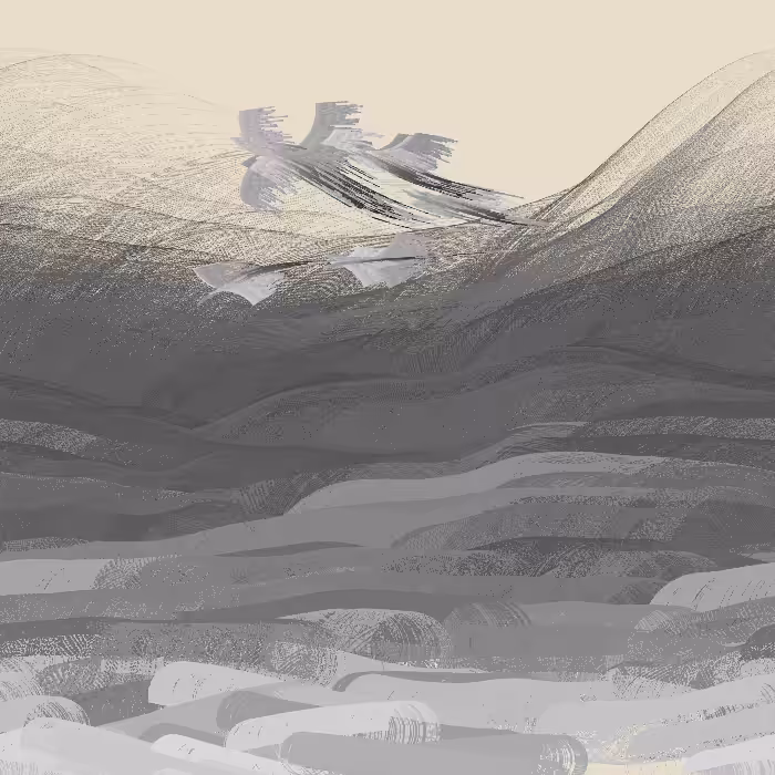 Valley of Ashes #50