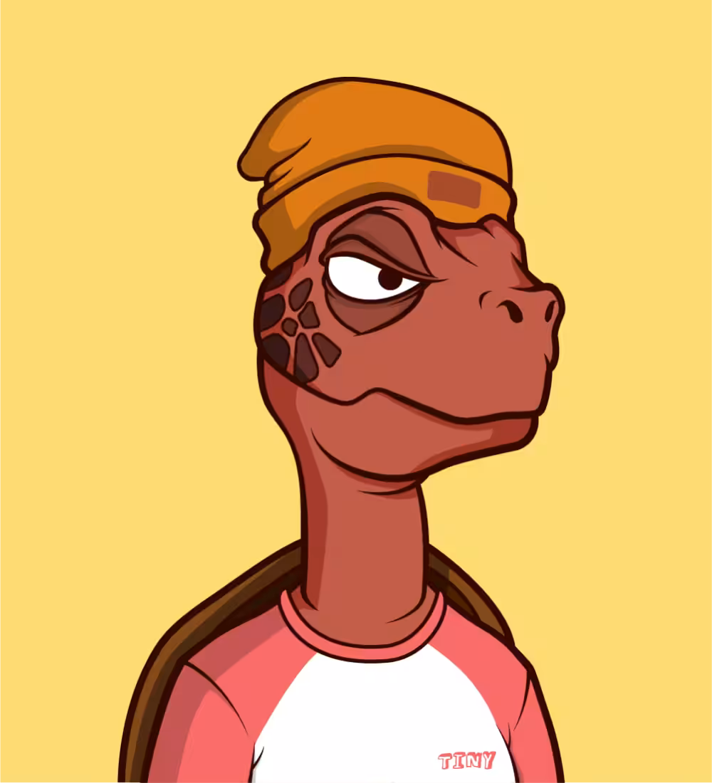 Tiny Turtle 202