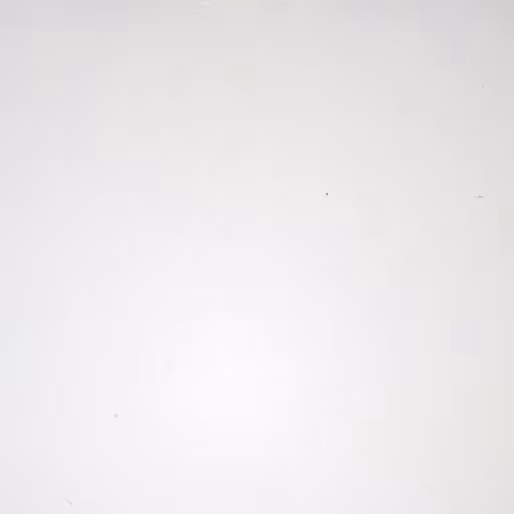 2k Celebration Loop