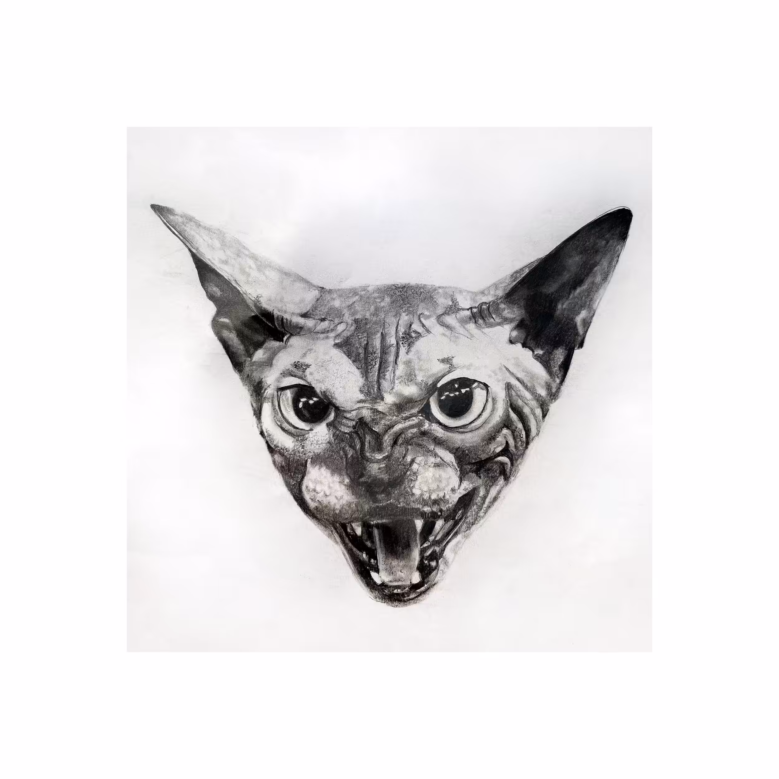 Sphynx