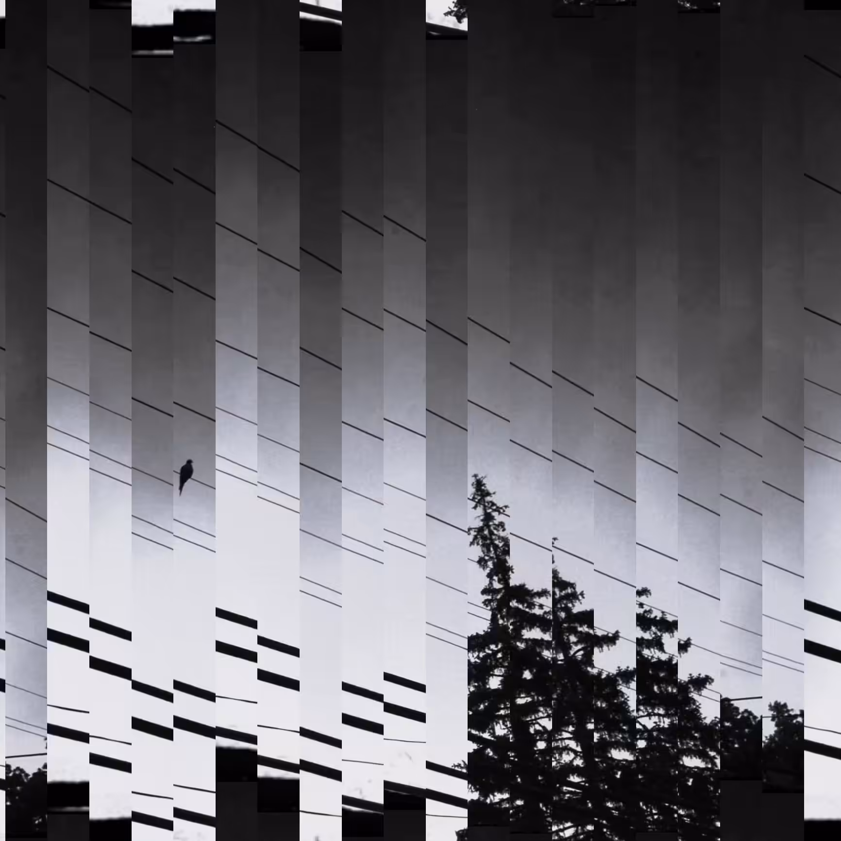 Shape of Quiet