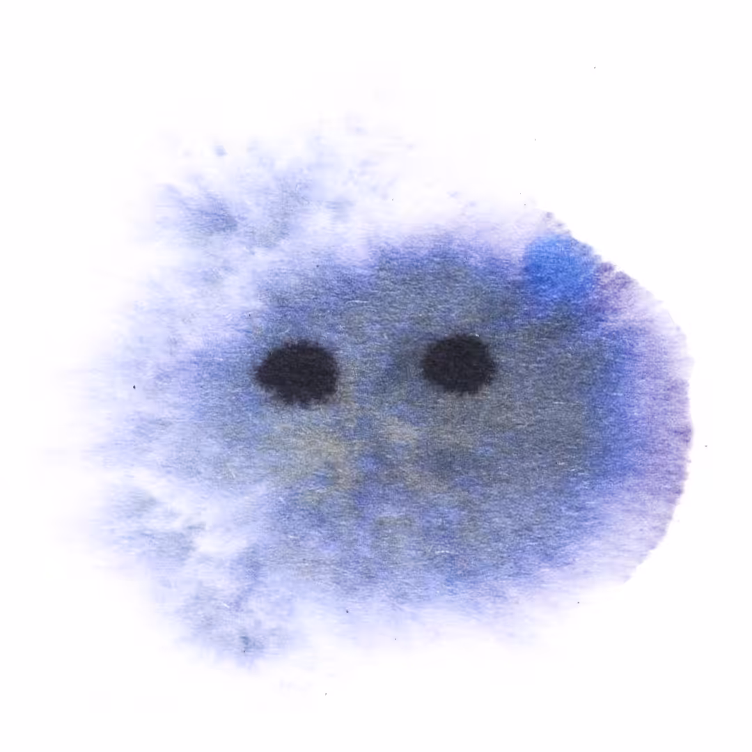 041