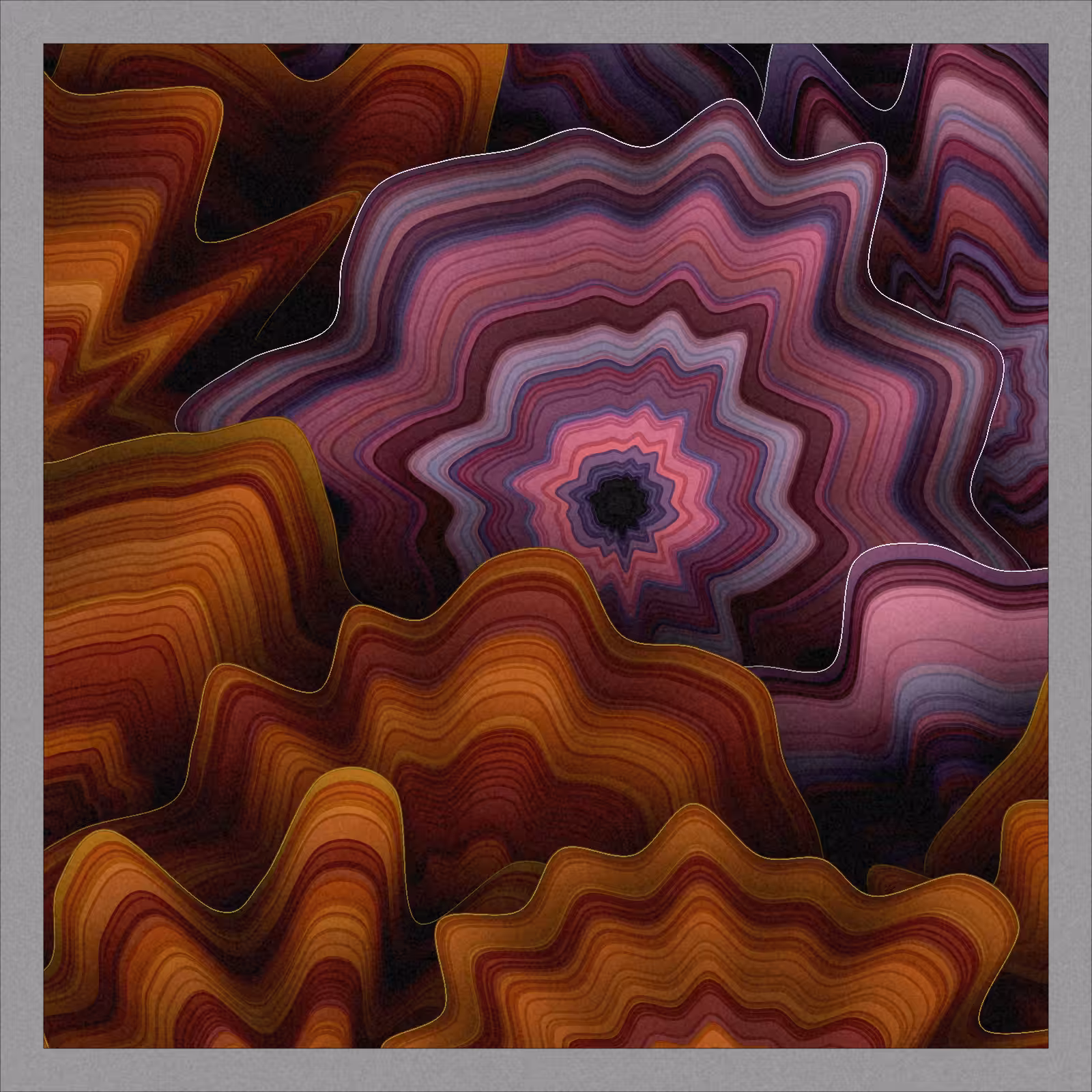 In the woods : close-up #70
