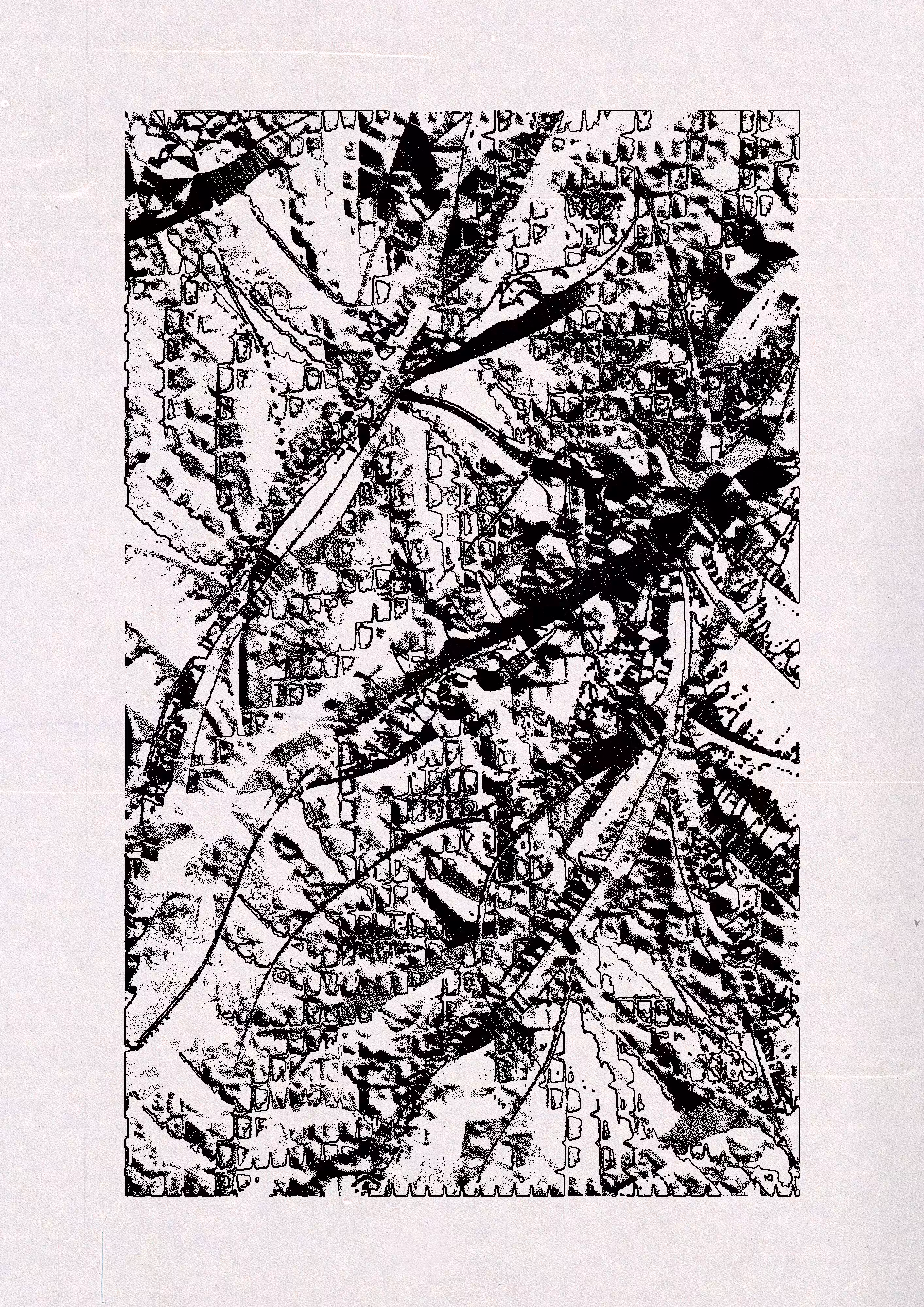 Mandragora