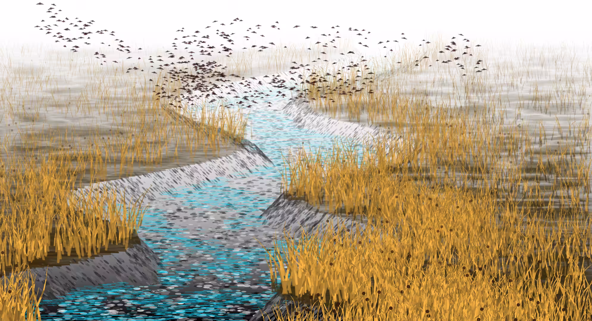 Wetlands #24