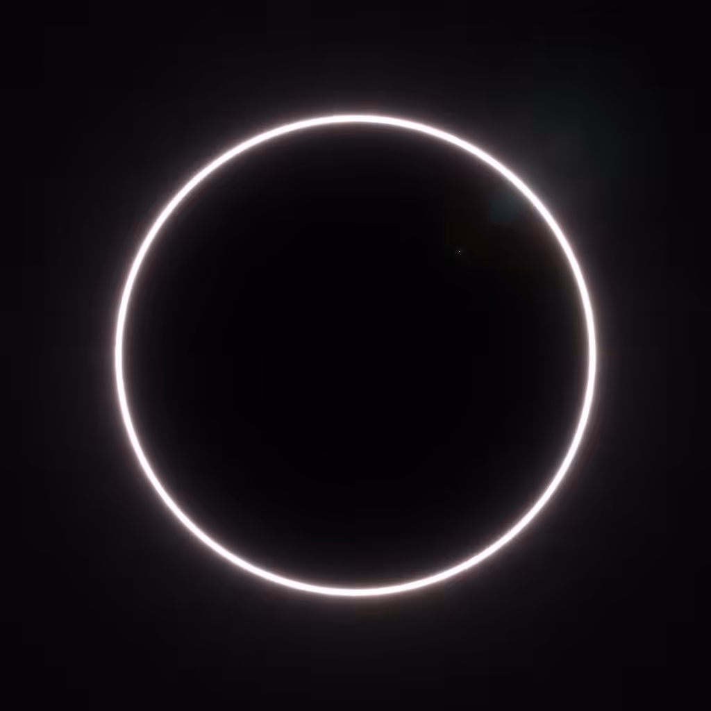 Totality #291