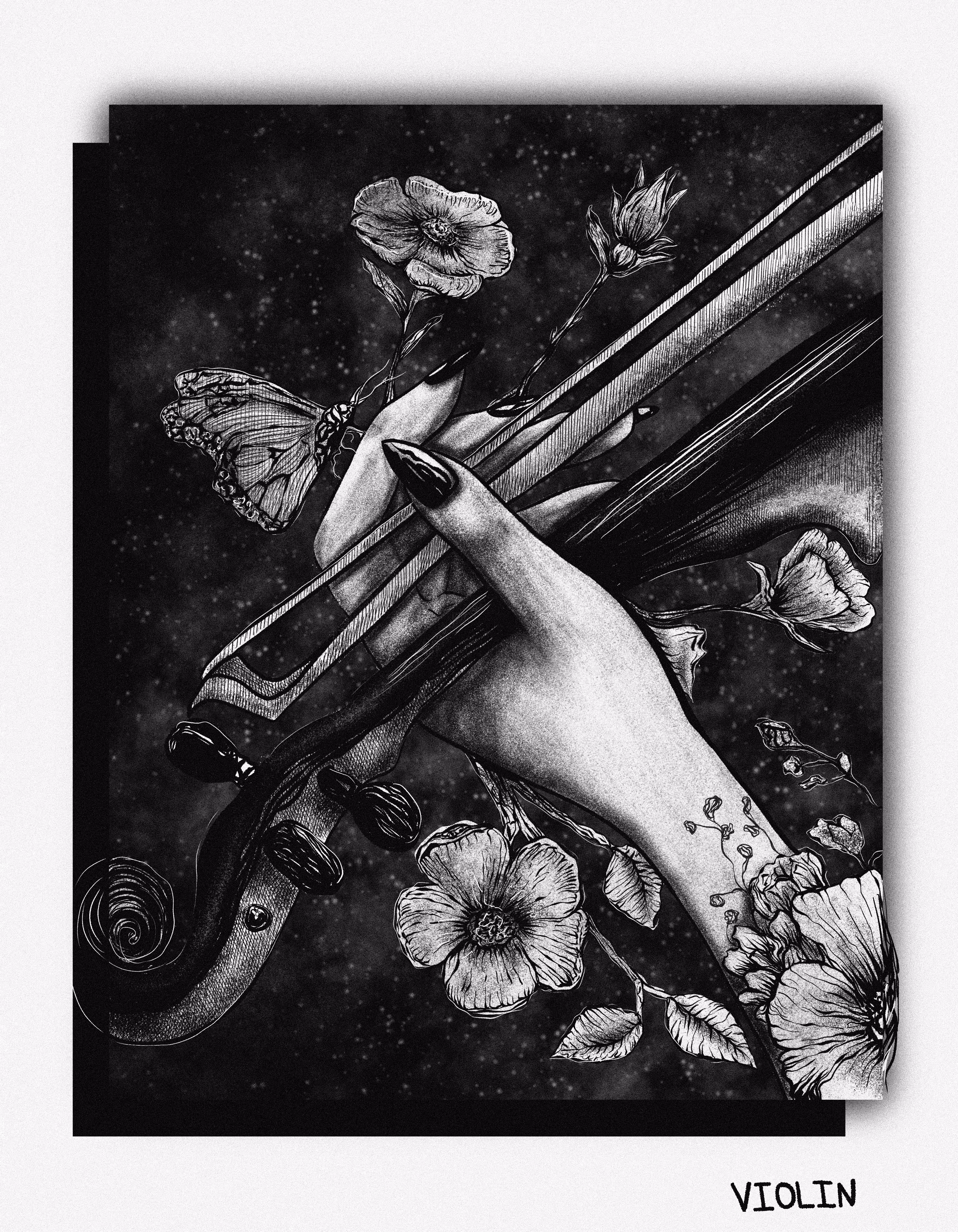 violin. 