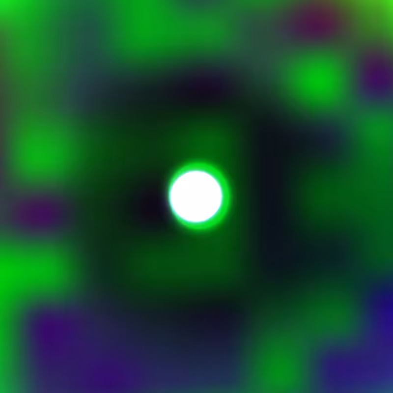 Sol #31
