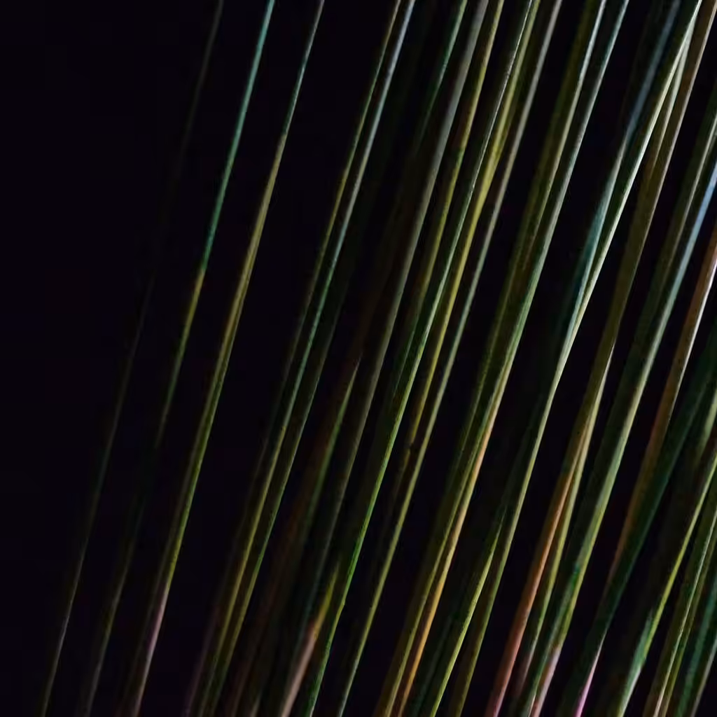 Aurora of Wood – Loop 3