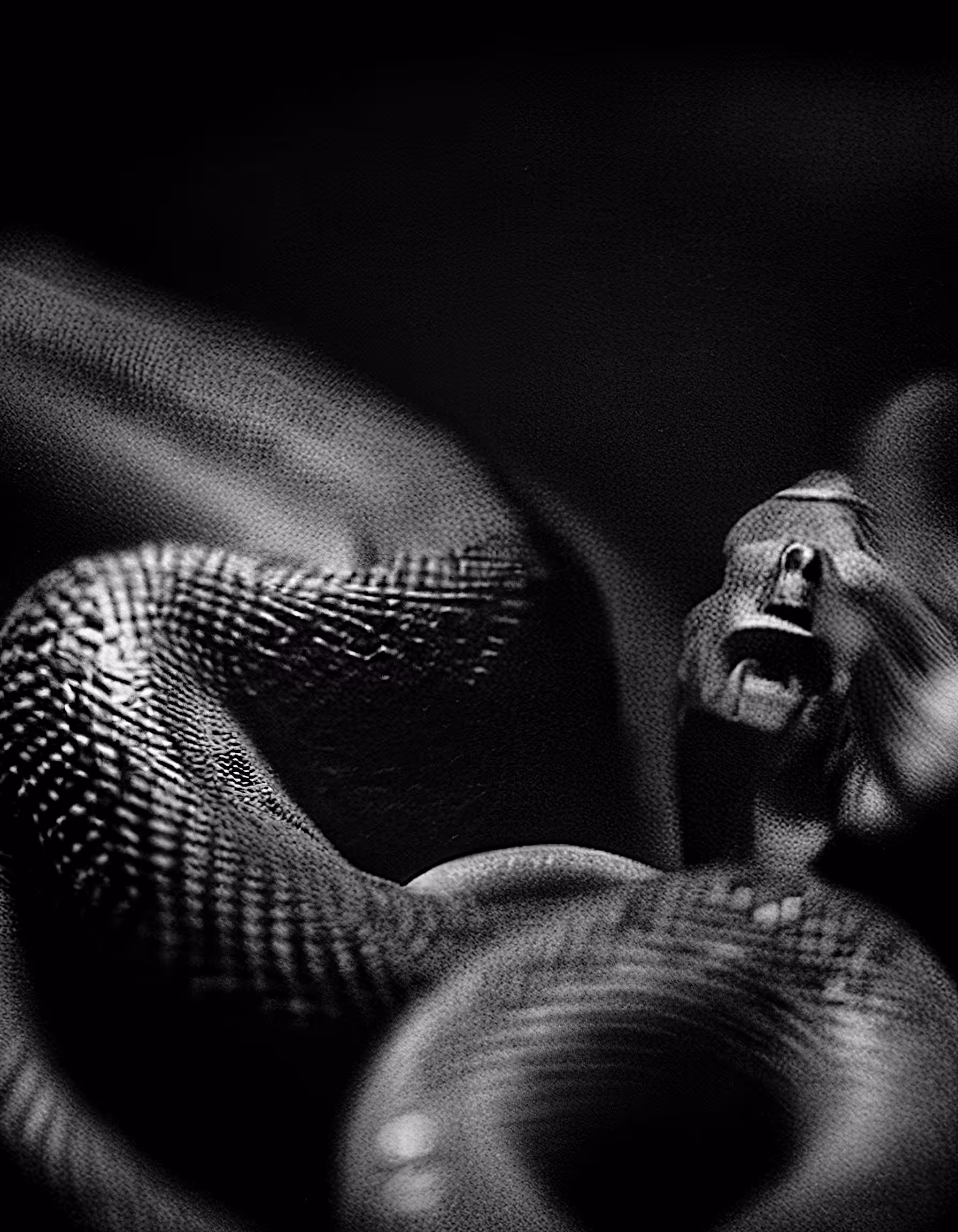 Snake lovers 06