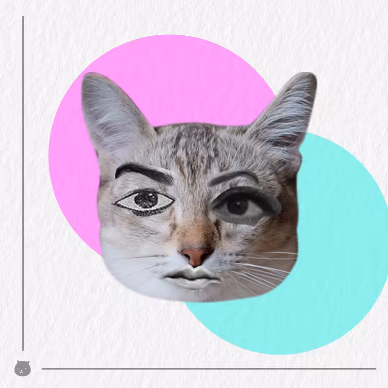 Kittenstein #49
