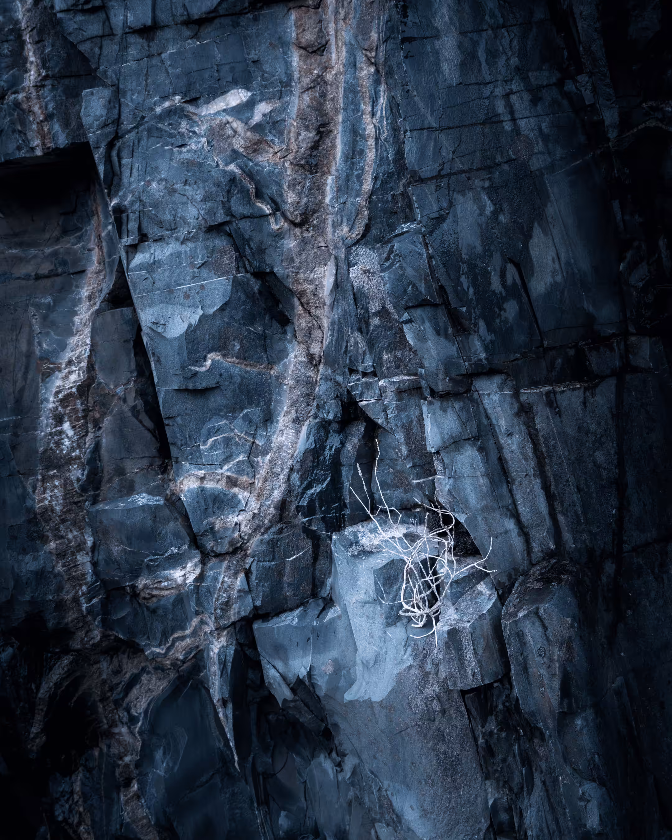 Elements #29 - White Spider