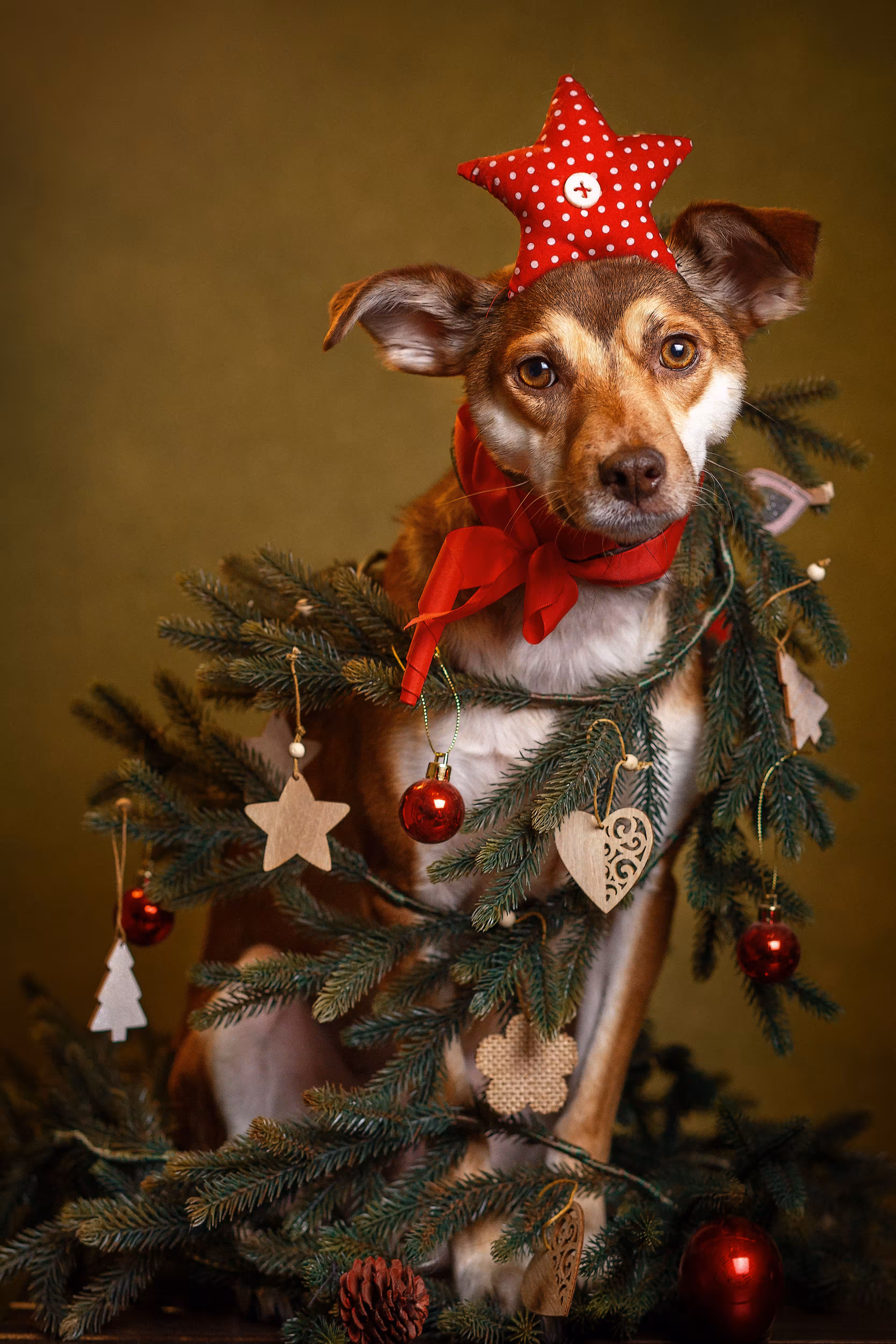 Сute сhristmas tree