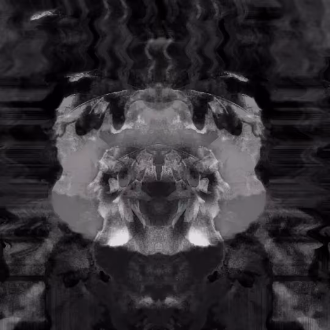 Psychedelic Space Panda! 04