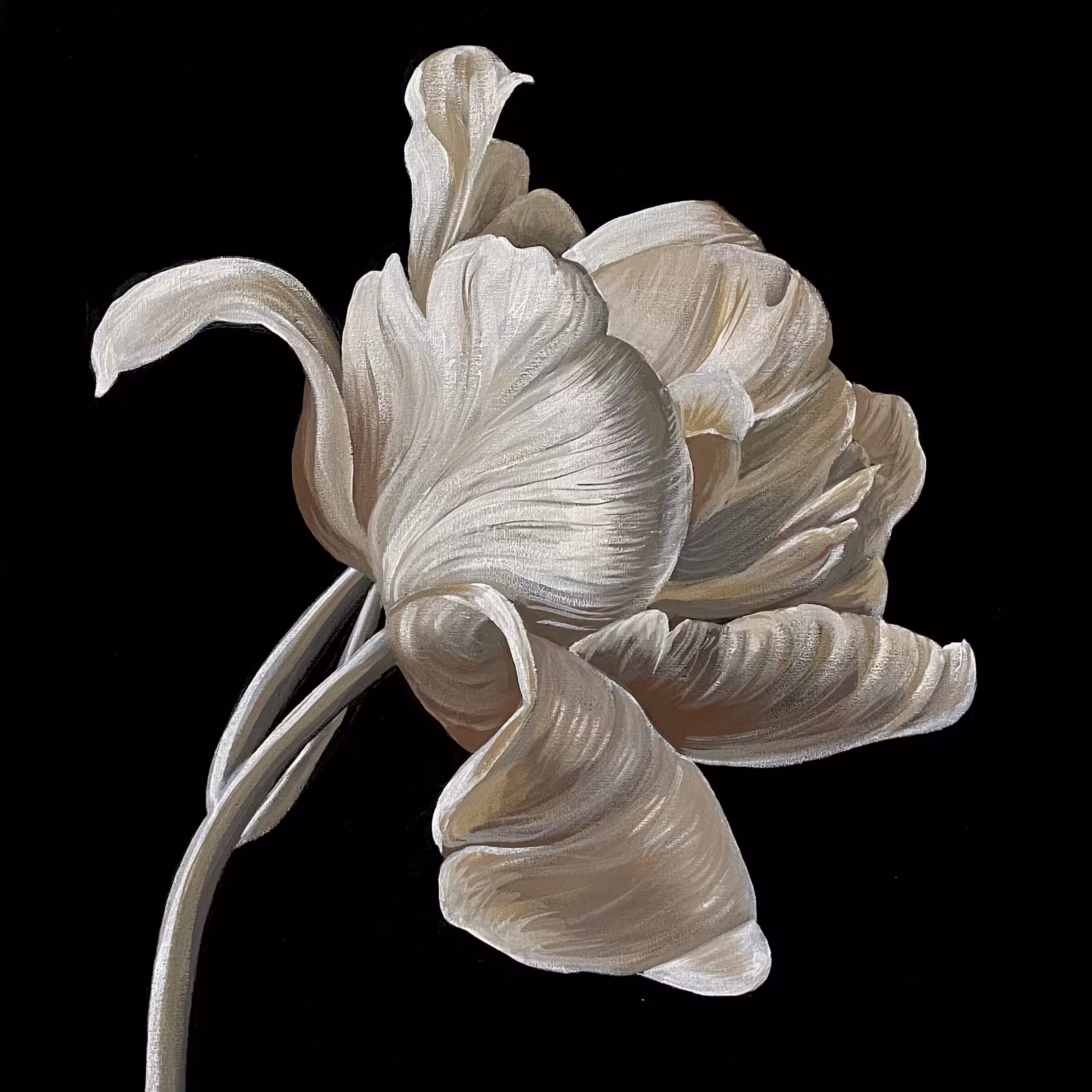 Gentleness