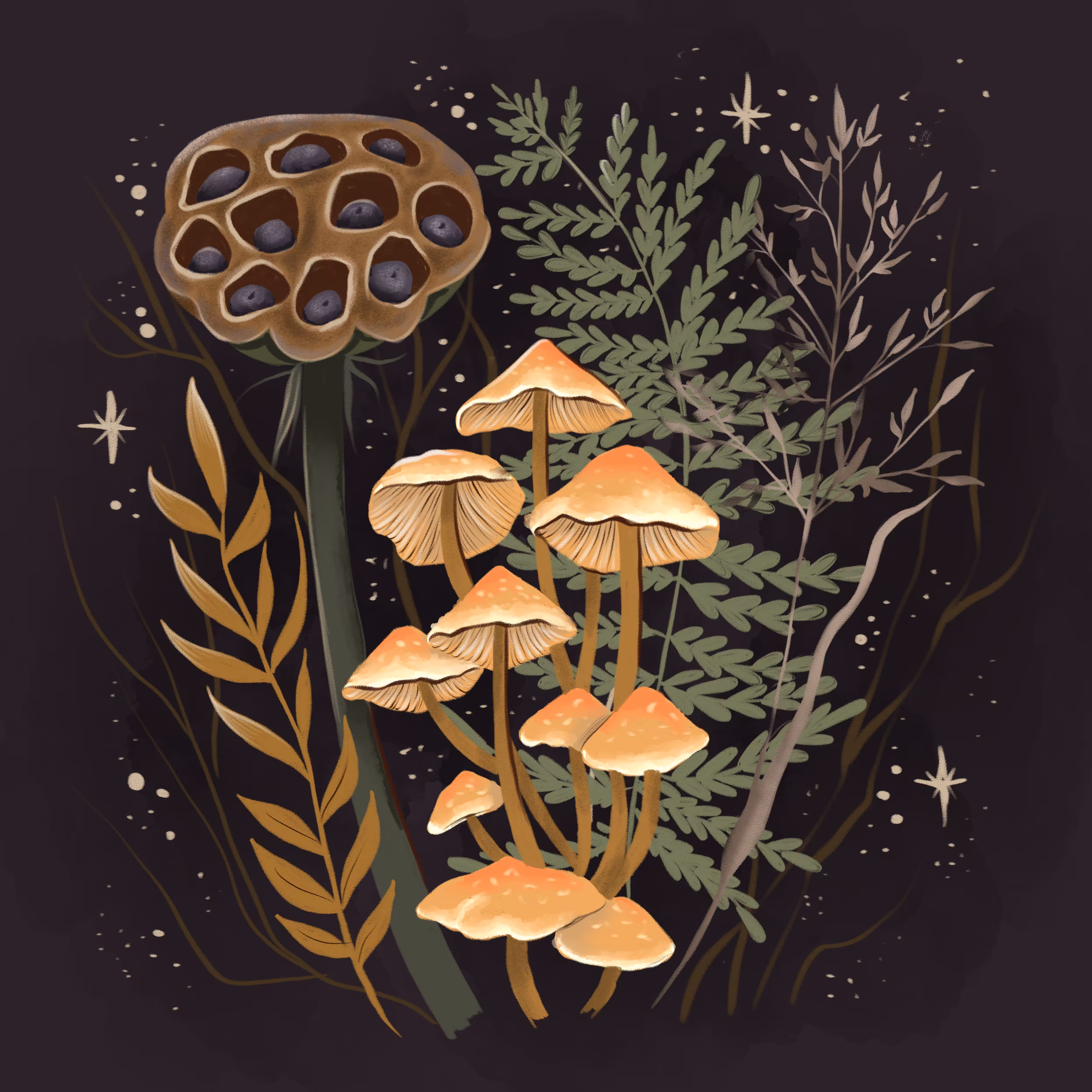Mushrooms