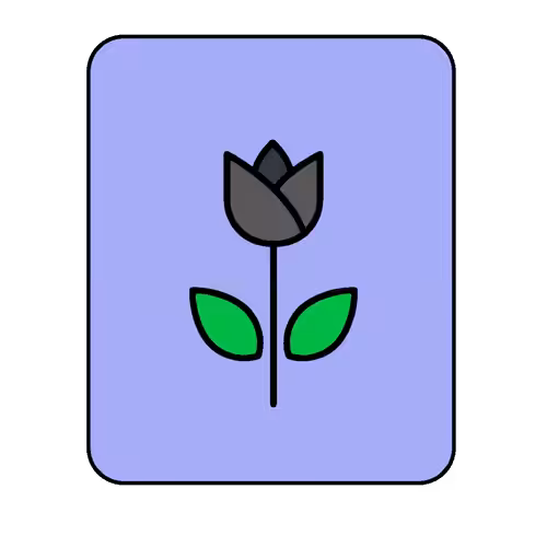 Ξthulip #41