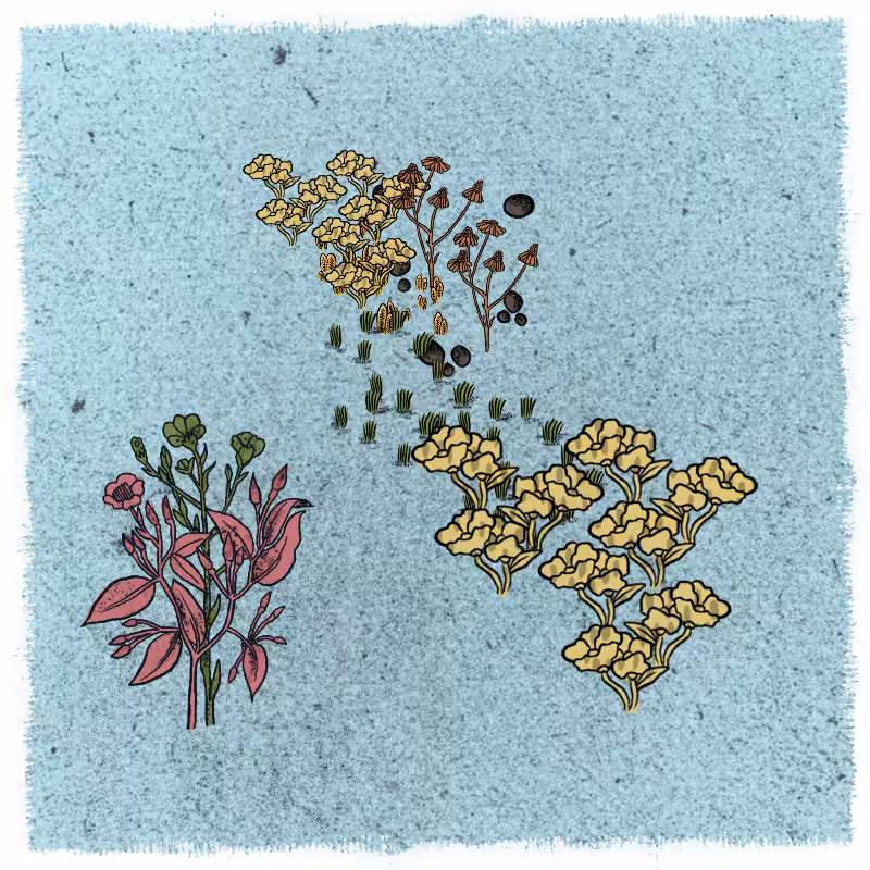 Gardens  #63