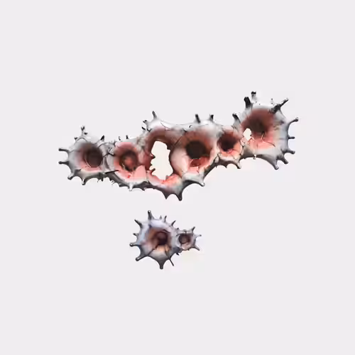 Wound sculptures: WSC_07