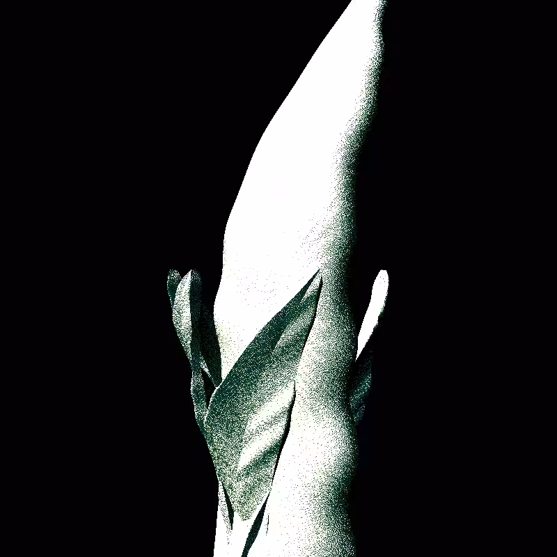 Genuary 32nd - Plantae