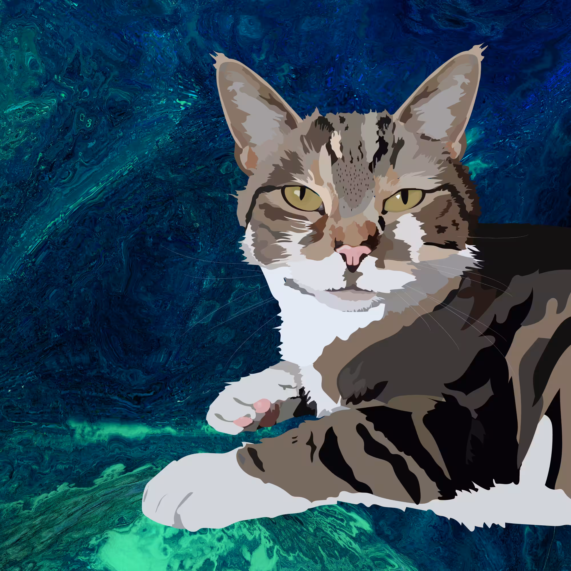 WishyWashy PhotogenicCat 004
