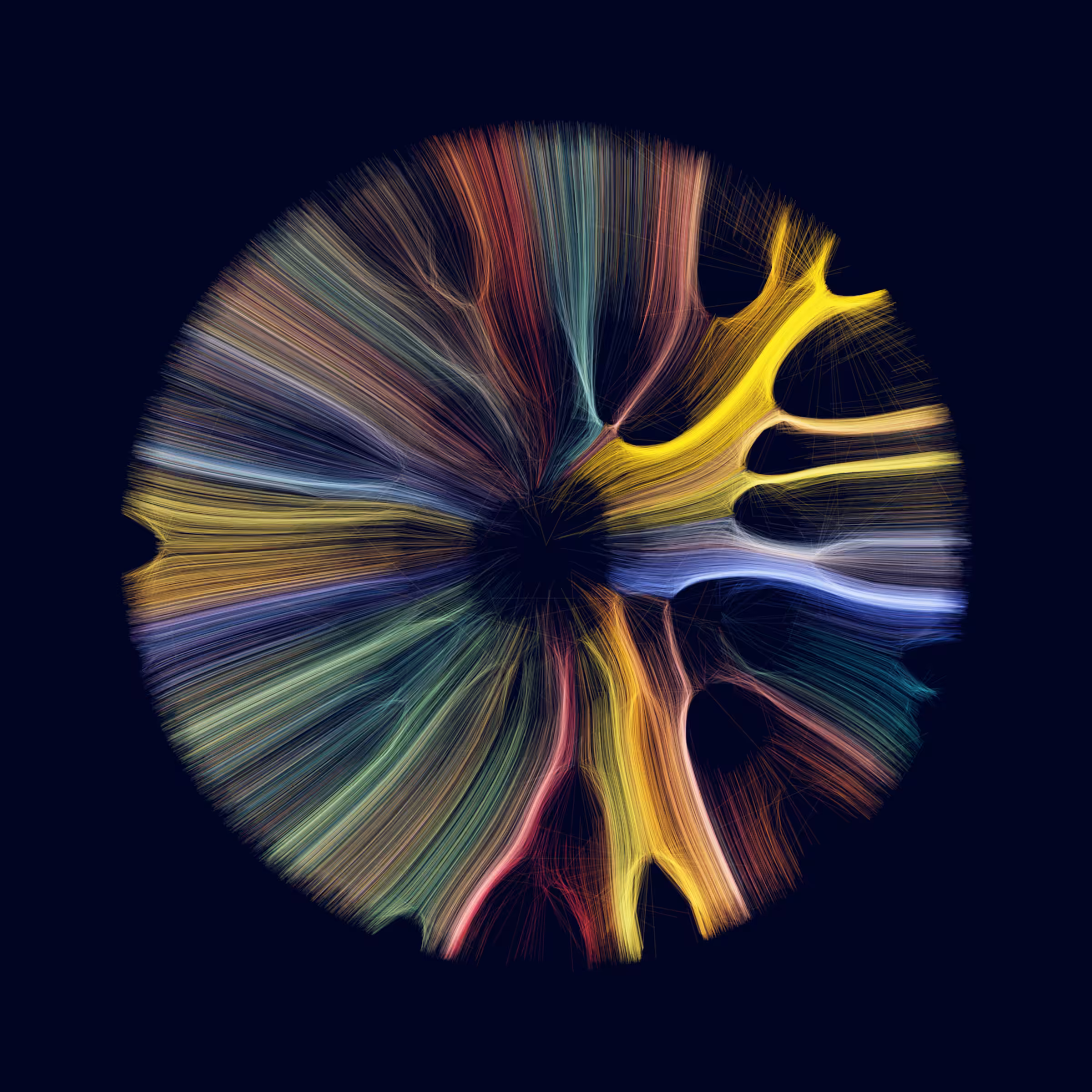 Gravity 12 #177