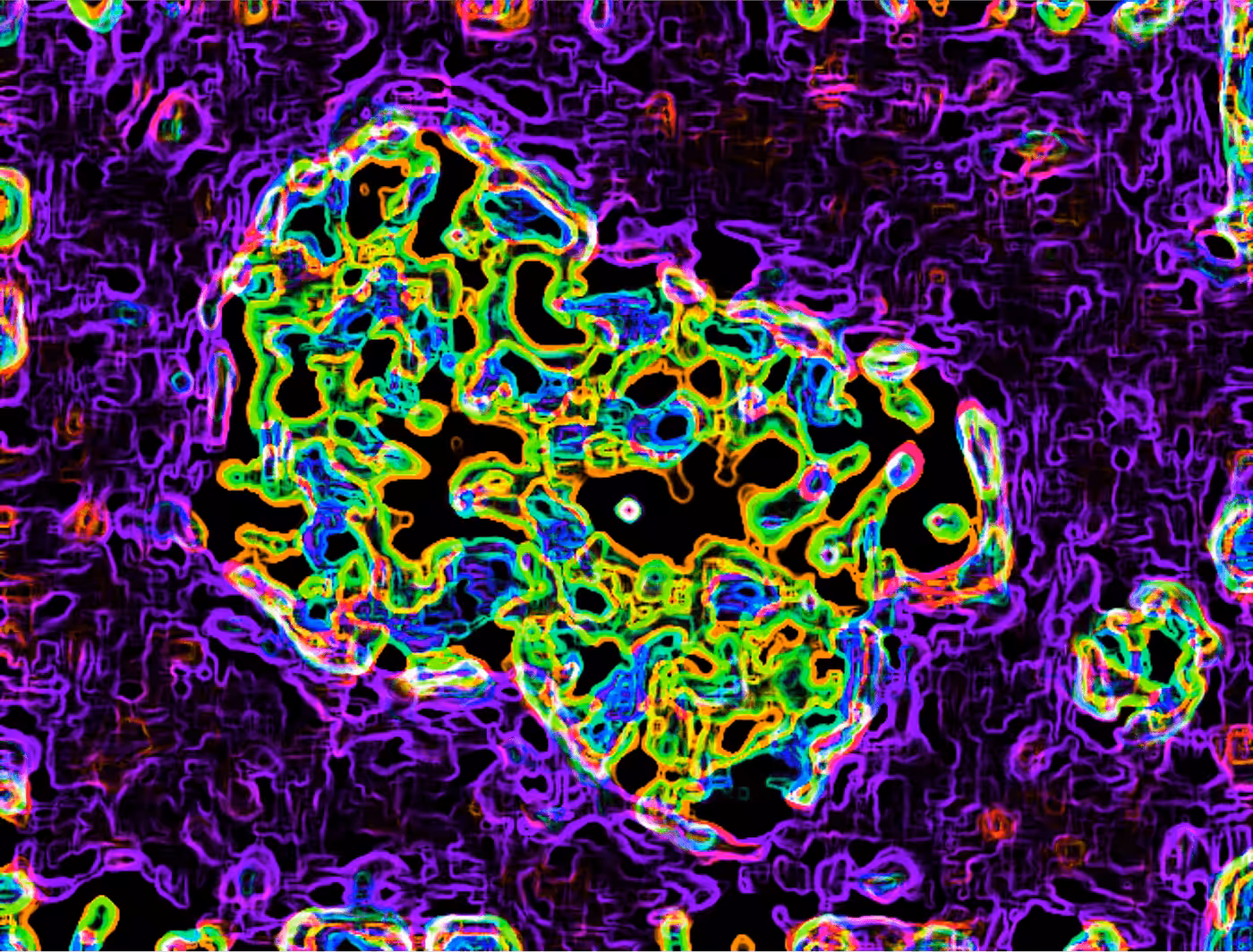 Untitled (OLD)