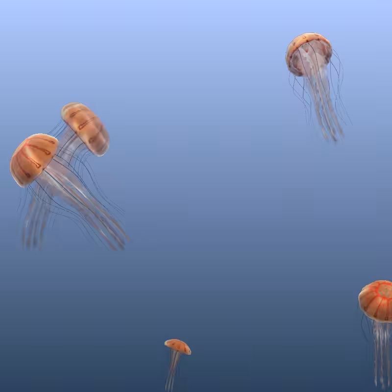 Jellyfish #4