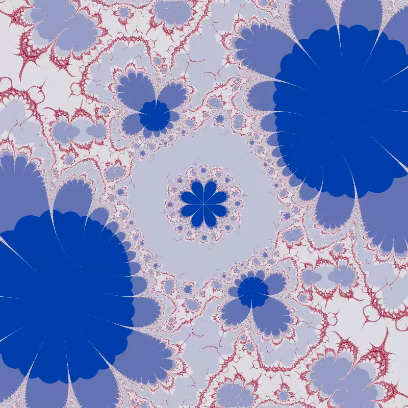 Morphology #70