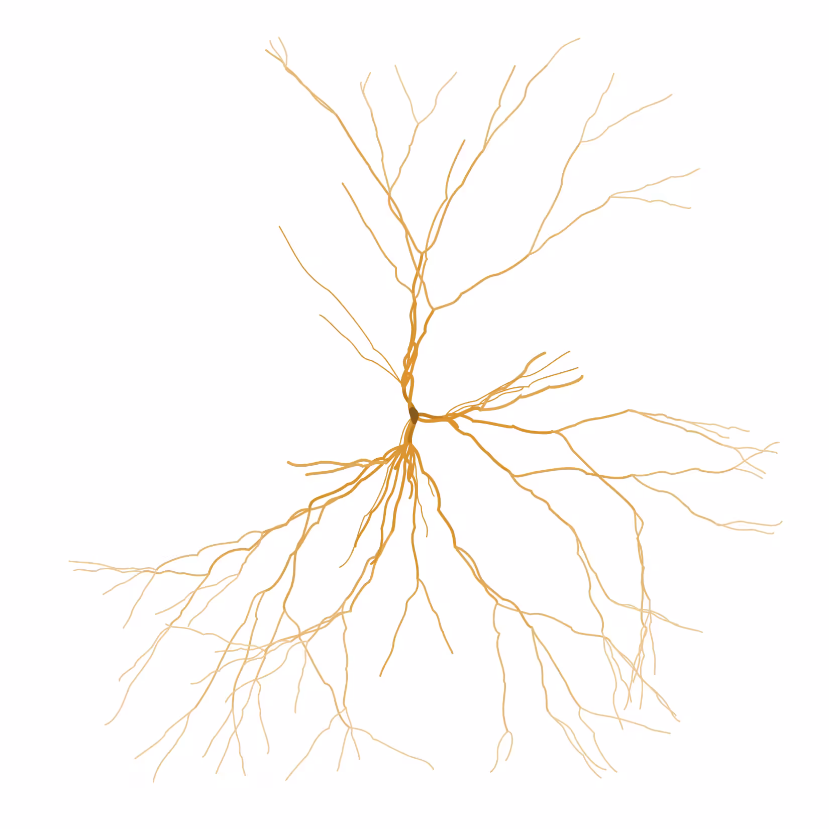 Ghost Forest Seedlings: Ghost Forest Seedling #514