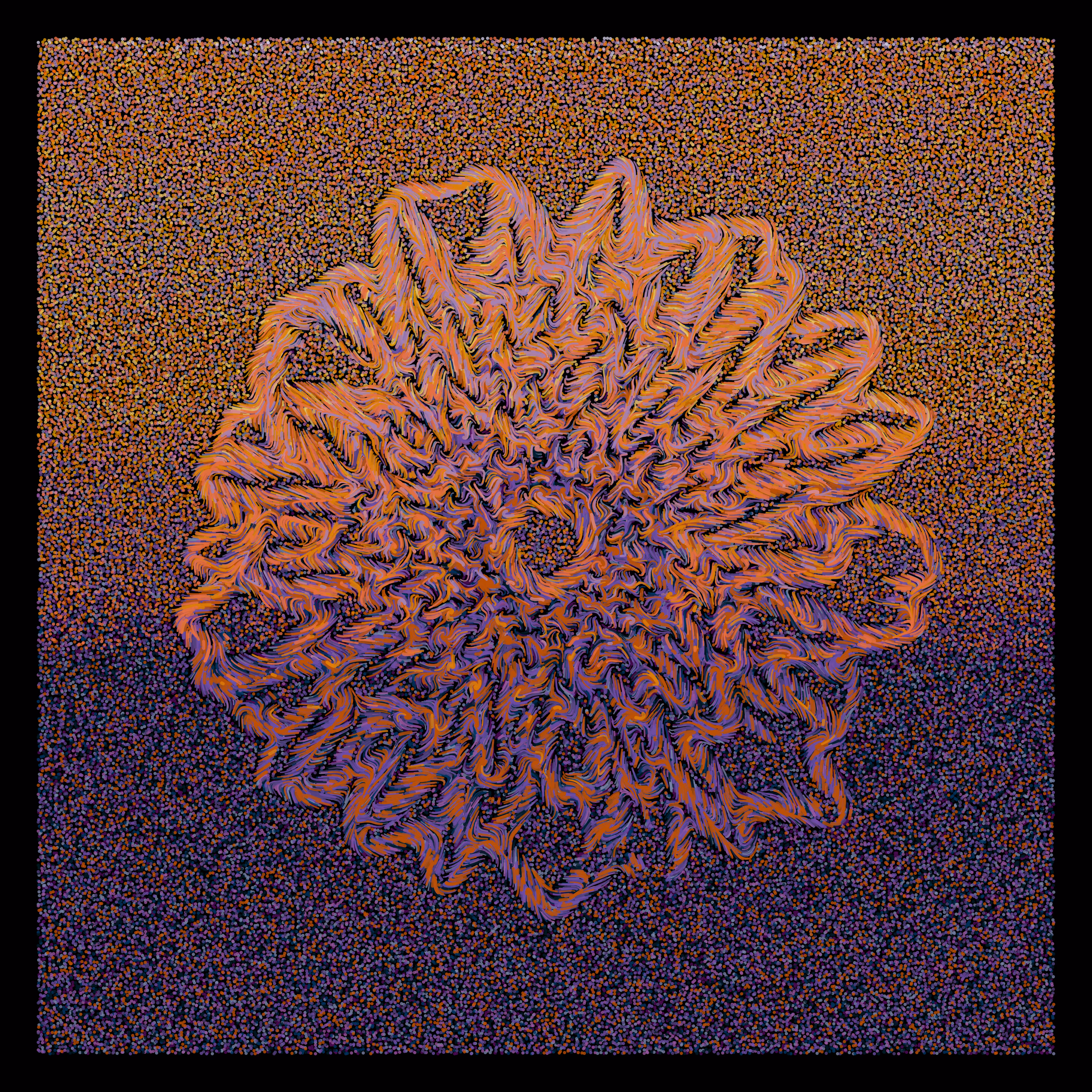Flower Portrait #13