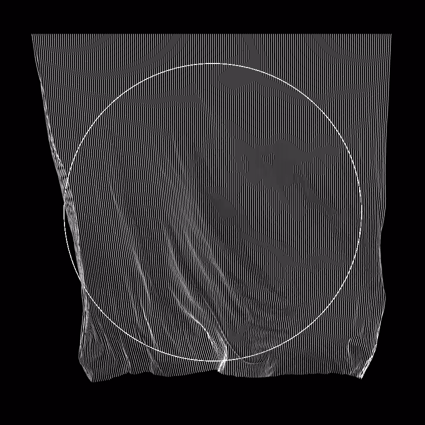 Fibril #60