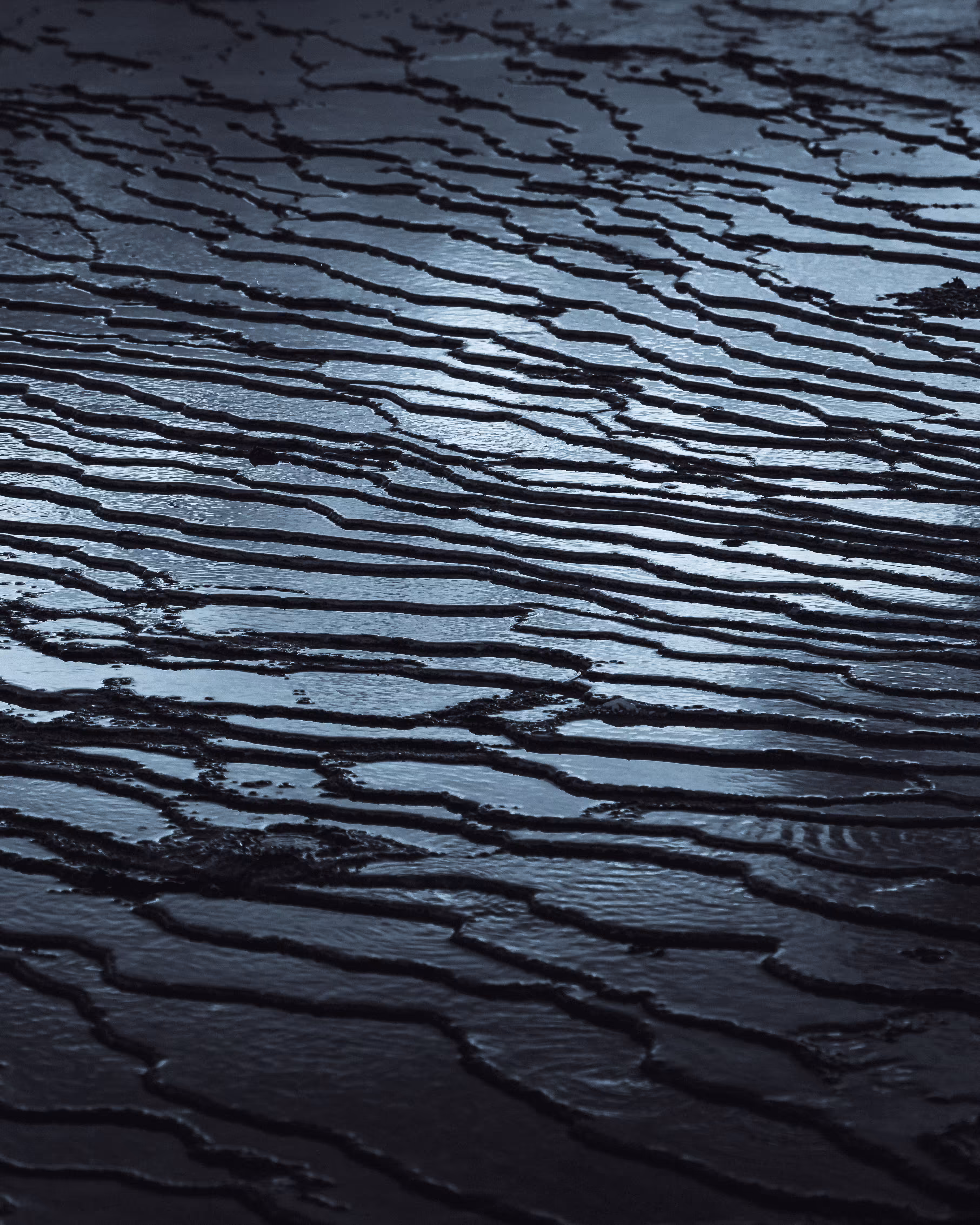 Echoes of the North #18
