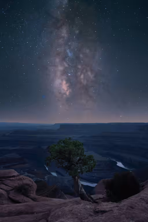 The Lone Tree